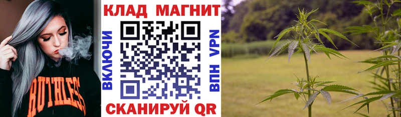 МЕТАДОН Трубчевск