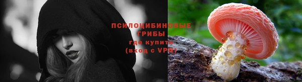 трава Алексин