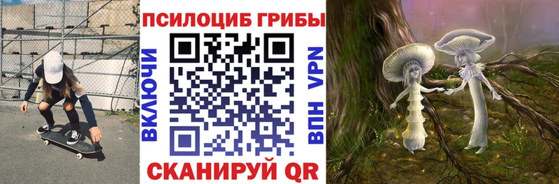 Псилоцибиновые грибы Psilocybine cubensis  Купить закладки  Трубчевск 